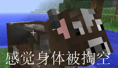 1651402255397.webp
